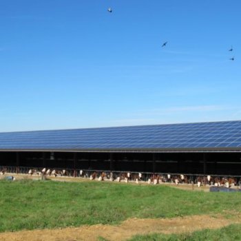 Exemples d'installation de panneaux solaires photovoltaïques - Solutions solaires pour les entreprises et exploitations agricoles