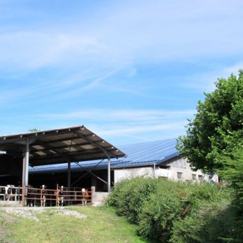 Exemples d'installation de panneaux solaires photovoltaïques - Solutions solaires pour les entreprises et exploitations agricoles