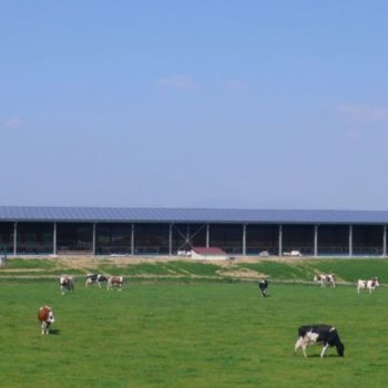 Exemples d'installation de panneaux solaires photovoltaïques - Solutions solaires pour les entreprises et exploitations agricoles